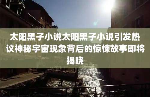 太阳黑子小说太阳黑子小说引发热议神秘宇宙现象背后的惊悚故事即将揭晓