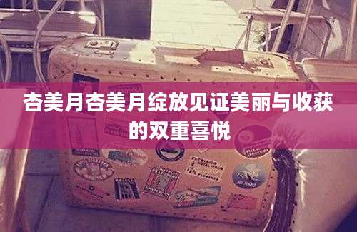 杏美月杏美月绽放见证美丽与收获的双重喜悦