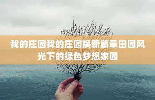 我的庄园我的庄园焕新篇章田园风光下的绿色梦想家园