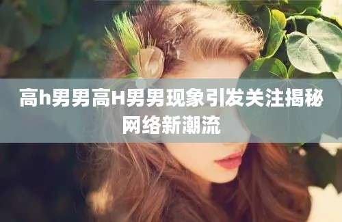 高h男男高H男男现象引发关注揭秘网络新潮流