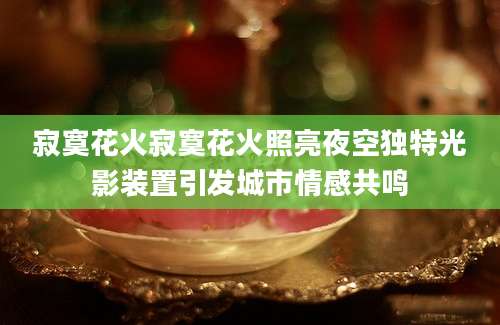 寂寞花火寂寞花火照亮夜空独特光影装置引发城市情感共鸣