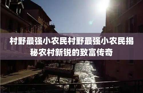 村野最强小农民村野最强小农民揭秘农村新锐的致富传奇