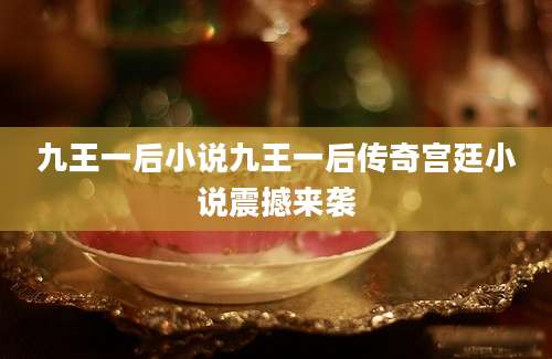 九王一后小说九王一后传奇宫廷小说震撼来袭