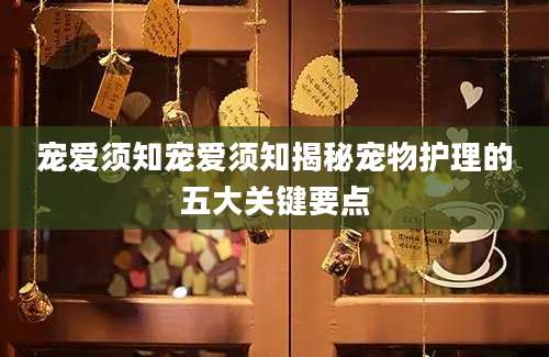 宠爱须知宠爱须知揭秘宠物护理的五大关键要点
