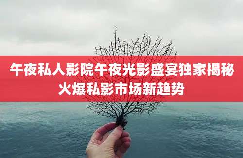午夜私人影院午夜光影盛宴独家揭秘火爆私影市场新趋势