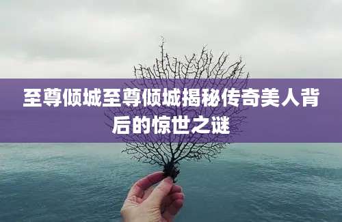 至尊倾城至尊倾城揭秘传奇美人背后的惊世之谜