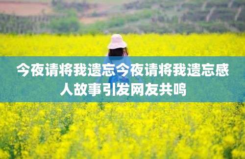 今夜请将我遗忘今夜请将我遗忘感人故事引发网友共鸣