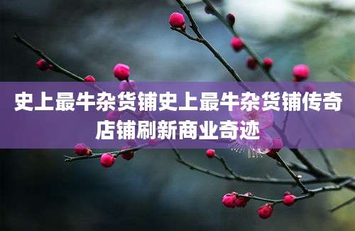 史上最牛杂货铺史上最牛杂货铺传奇店铺刷新商业奇迹