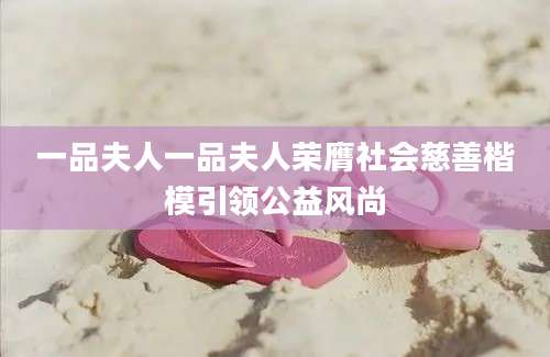 一品夫人一品夫人荣膺社会慈善楷模引领公益风尚
