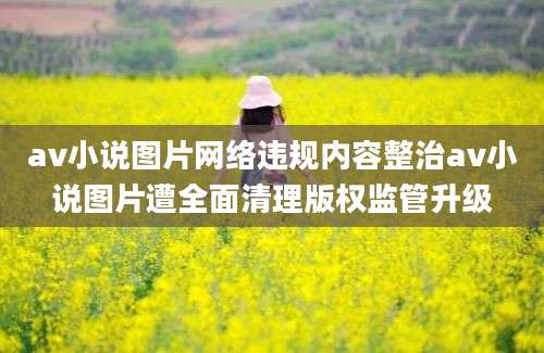 av小说图片网络违规内容整治av小说图片遭全面清理版权监管升级