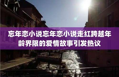 忘年恋小说忘年恋小说走红跨越年龄界限的爱情故事引发热议
