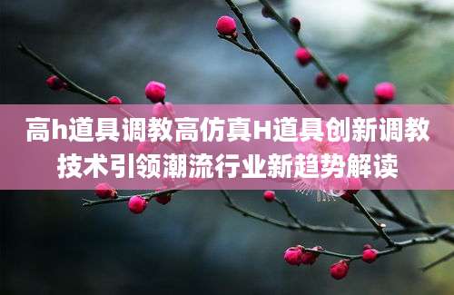 高h道具调教高仿真H道具创新调教技术引领潮流行业新趋势解读
