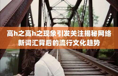 高h之高h之现象引发关注揭秘网络新词汇背后的流行文化趋势