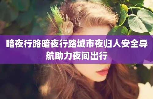 暗夜行路暗夜行路城市夜归人安全导航助力夜间出行
