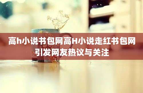 高h小说书包网高H小说走红书包网引发网友热议与关注