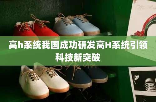 高h系统我国成功研发高H系统引领科技新突破