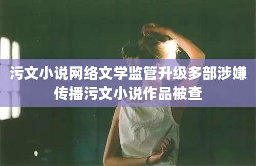 污文小说网络文学监管升级多部涉嫌传播污文小说作品被查