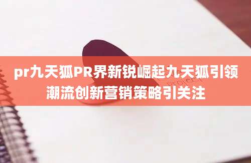pr九天狐PR界新锐崛起九天狐引领潮流创新营销策略引关注
