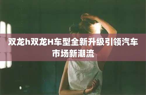 双龙h双龙H车型全新升级引领汽车市场新潮流