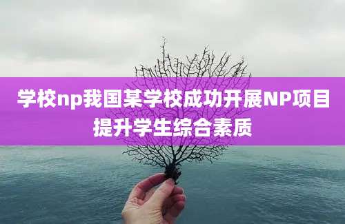 学校np我国某学校成功开展NP项目提升学生综合素质