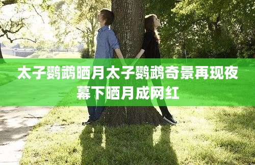 太子鹦鹉晒月太子鹦鹉奇景再现夜幕下晒月成网红
