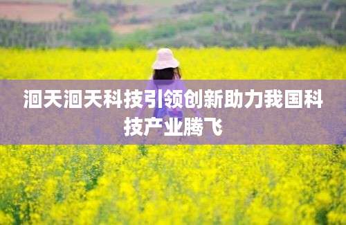 洄天洄天科技引领创新助力我国科技产业腾飞