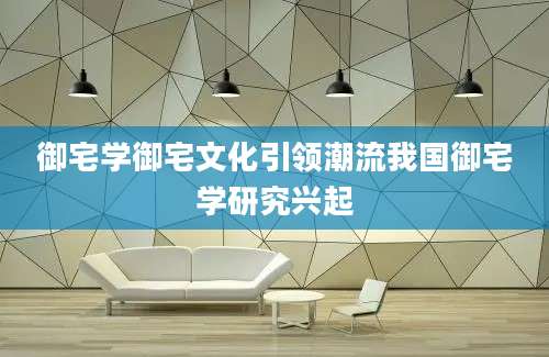 御宅学御宅文化引领潮流我国御宅学研究兴起