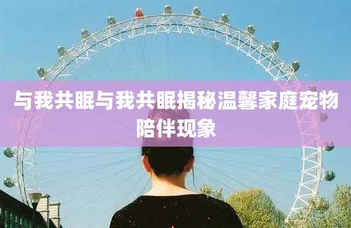 与我共眠与我共眠揭秘温馨家庭宠物陪伴现象