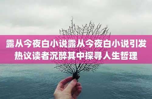 露从今夜白小说露从今夜白小说引发热议读者沉醉其中探寻人生哲理
