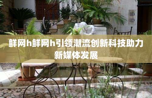 鲜网h鲜网h引领潮流创新科技助力新媒体发展