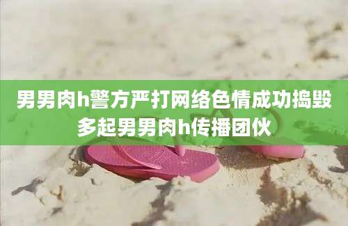 男男肉h警方严打网络色情成功捣毁多起男男肉h传播团伙