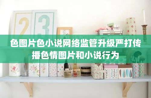 色图片色小说网络监管升级严打传播色情图片和小说行为