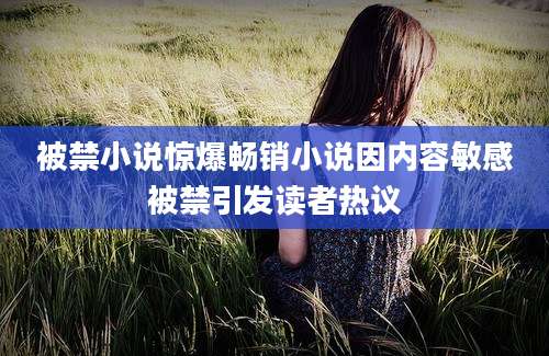 被禁小说惊爆畅销小说因内容敏感被禁引发读者热议