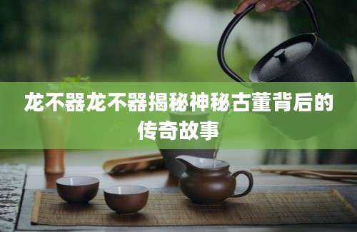 龙不器龙不器揭秘神秘古董背后的传奇故事