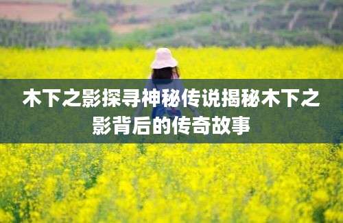 木下之影探寻神秘传说揭秘木下之影背后的传奇故事