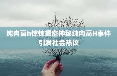 纯肉高h惊悚揭密神秘纯肉高H事件引发社会热议