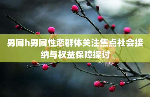 男同h男同性恋群体关注焦点社会接纳与权益保障探讨