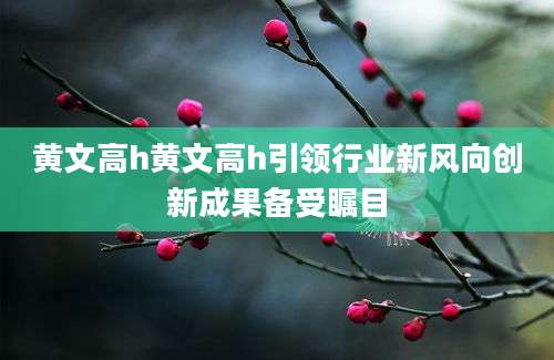 黄文高h黄文高h引领行业新风向创新成果备受瞩目