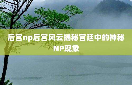 后宫np后宫风云揭秘宫廷中的神秘NP现象