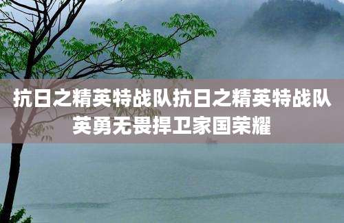 抗日之精英特战队抗日之精英特战队英勇无畏捍卫家国荣耀