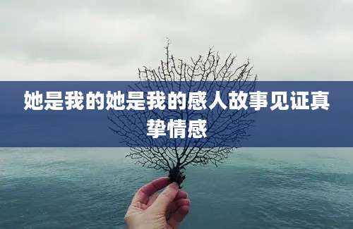 她是我的她是我的感人故事见证真挚情感