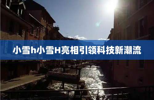 小雪h小雪H亮相引领科技新潮流