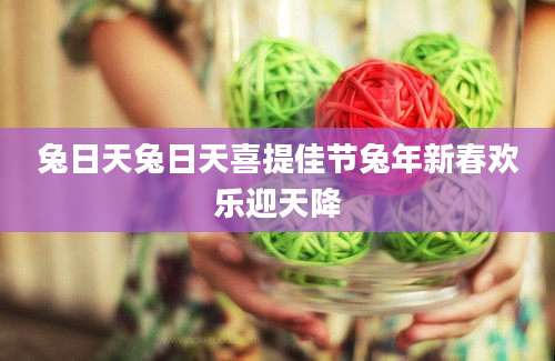 兔日天兔日天喜提佳节兔年新春欢乐迎天降