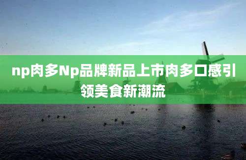 np肉多Np品牌新品上市肉多口感引领美食新潮流