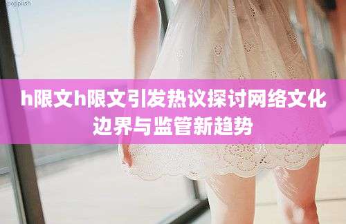 h限文h限文引发热议探讨网络文化边界与监管新趋势