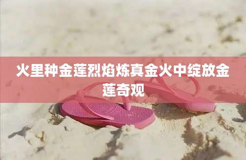 火里种金莲烈焰炼真金火中绽放金莲奇观
