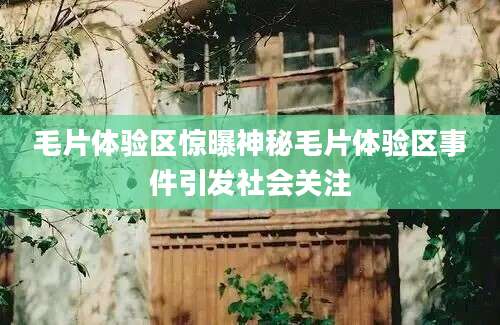 毛片体验区惊曝神秘毛片体验区事件引发社会关注