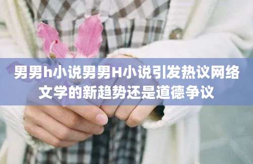 男男h小说男男H小说引发热议网络文学的新趋势还是道德争议