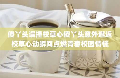 傻丫头误撞校草心傻丫头意外邂逅校草心动瞬间点燃青春校园情愫
