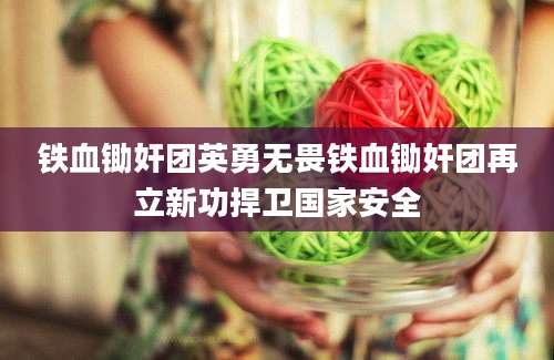铁血锄奸团英勇无畏铁血锄奸团再立新功捍卫国家安全